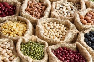 قیمت حبوبات بسته بندی شرکتی در میادین و بازارهای میوه و تره بار تهران اعلام شد