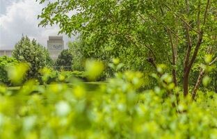فولاد مبارکه به تعهد و رسالت خود در قبال کارکنان، جامعه و محیط‌زیست پایبند است