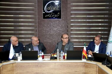 همگرایی دولت و مجلس برای بهبود فضای کسب و کار در صنعت پتروشیمی