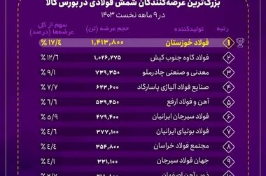 سرمایه‌گذاری ۲۵۳ میلیون یورویی در پروژه فولادسازی شادگان با محوریت بومی‌سازی  