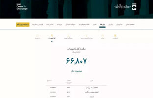 آقای «شیخ» اطلاعات غلط ندهید/ ۷۷ درصد ارز کشور را صنایع مصرف کردند