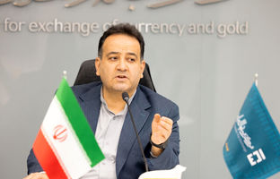 آغاز عرضه ارز پتروشیمی‌ها در سامانه ارز تجاری از هفته آینده