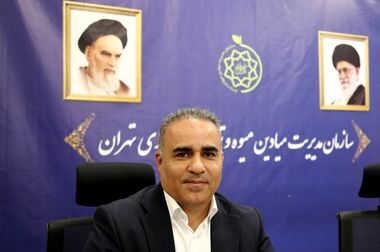 رقابت بیش از 1100 متقاضی برای تصاحب 507 غرفه میوه دستچین و سبزیجات 