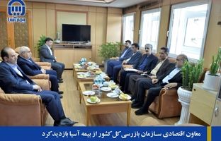 معاون اقتصادی سازمان بازرسی کل کشور از بیمه آسیا بازدید کرد