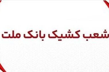 بانکداری ویدیویی بانک ملت مورد استقبال مشتریان قرار گرفت