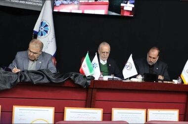  معاون وزیر اقتصاد از اقدامات فرهنگ سازی صندوق تامین قدردانی کرد