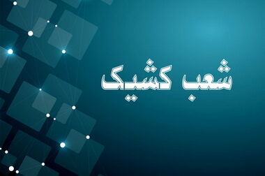 جهش ۳ برابری سودآوری و افزایش ۱۰۰درصدی درآمدهای بانک توسعه صادرات ایران