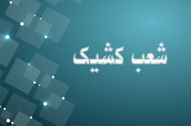 بانک توسعه صادرات ایران بازوی اصلی دولت در رونق صادرات غیرنفتی