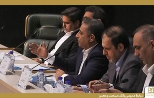 دکتر شایان: «بنگاه‌سازی» را از «بنگاه‌داری» تفکیک کنیم / بانک تخصصی باید طراح تأمین مالی پروژه‌های بزرگ باشد