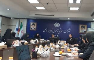 سعیدی: با حضور زنان در عرصه مدیریت نوآوری ارتقا پیدا می‌کند
