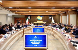 تأکید بر تشکیل انجمن واردکنندگان خودرو پلاک منطقه آزاد انزلی