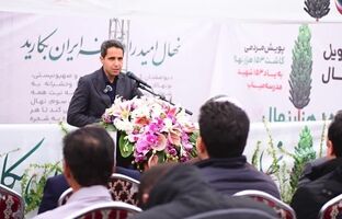 پویش کاشت ۱۵۳هزار نهال به یاد ۱۵۳ شهید مدرسه میناب آغاز شد