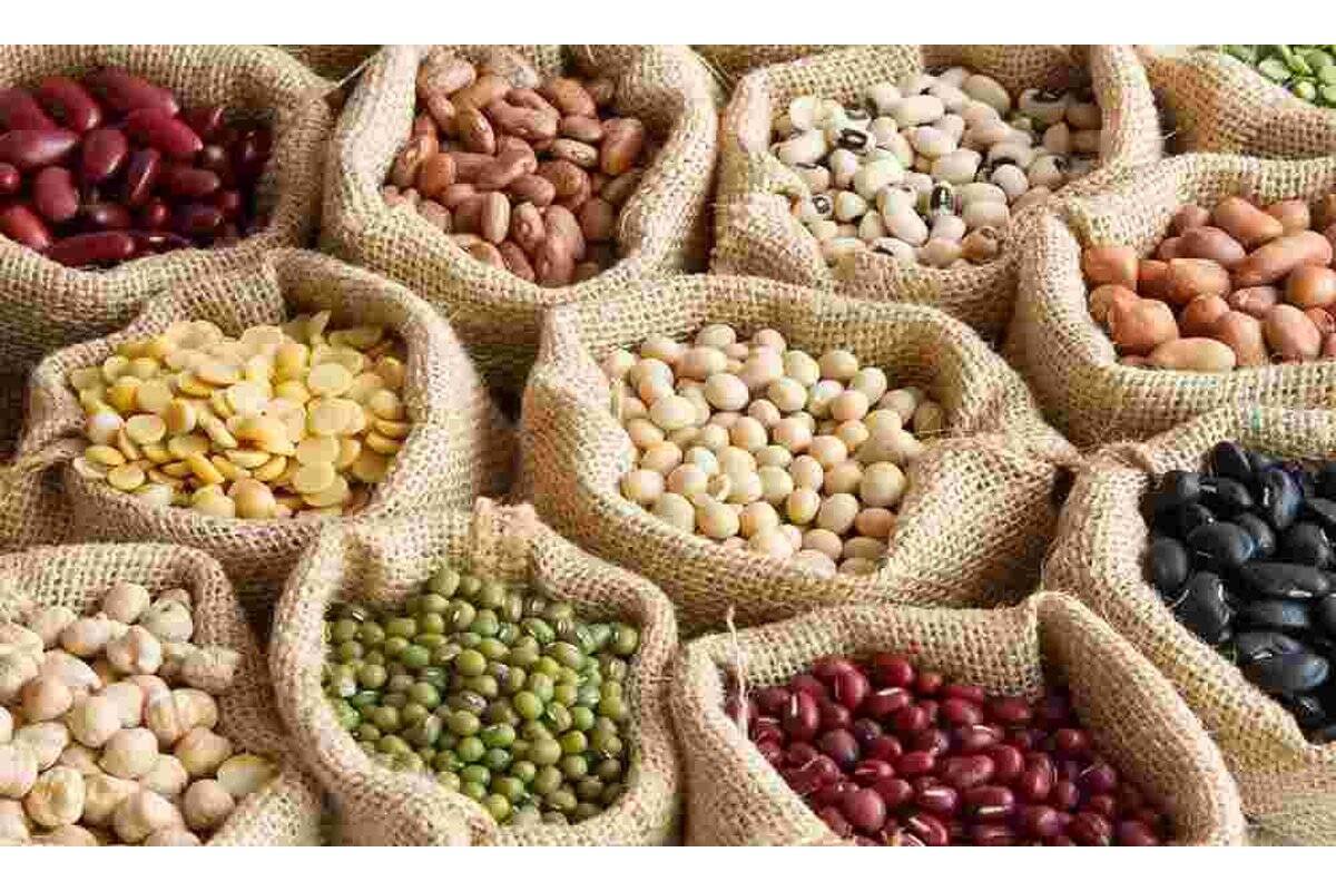 قیمت حبوبات بسته بندی شرکتی در میادین و بازارهای میوه و تره بار تهران امروز یکشنبه ۳ آبان ۱۴۰۵ اعلام شد