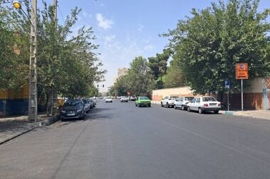 کاشت ۶۰ اصله درخت پالم و یاس هلندی در بلوار بهشت زهرا (س) منطقه ۱۹