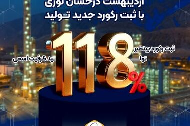 رشد۴۷ درصدی درآمد پتروشیمی نوری نسبت به دوره مشابه سال قبل