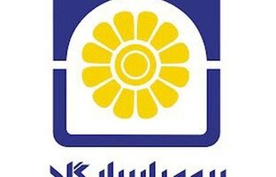 «پاسارگاد» تحصیلکرده‌ترین شرکت بیمه است