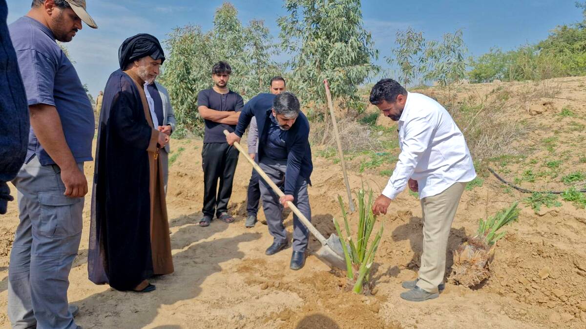  پویش کاشت و وقف ۱۴ هزار نخل در ۶ استان کشور آغاز شد