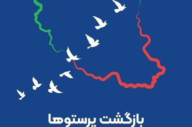بانوی ایرانی نام محصول جدید بیمه ایران باهدف تامین آرامش زنان کشور/ ایران، پشتوانه‌ای مطمئن برای زنان ایرانی
