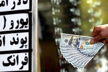 نقش مخرب سفته‌بازان در نوسانات دلار/ از تصمیمات هیجانی در بازار ارز خودداری کنید