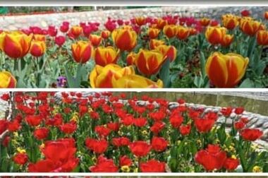رضایت و خرسندی مردم هدف نهایی خدمتگزاری