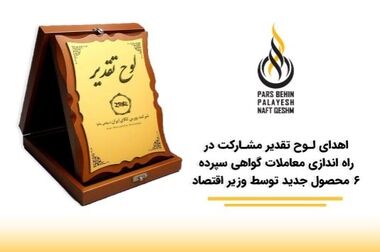 جبران ناترازی برق کشور با مشارکت بخش خصوصی با جدیت دنبال می شود