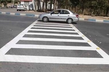 درختان منطقه2 آماده خواب زمستانی شد