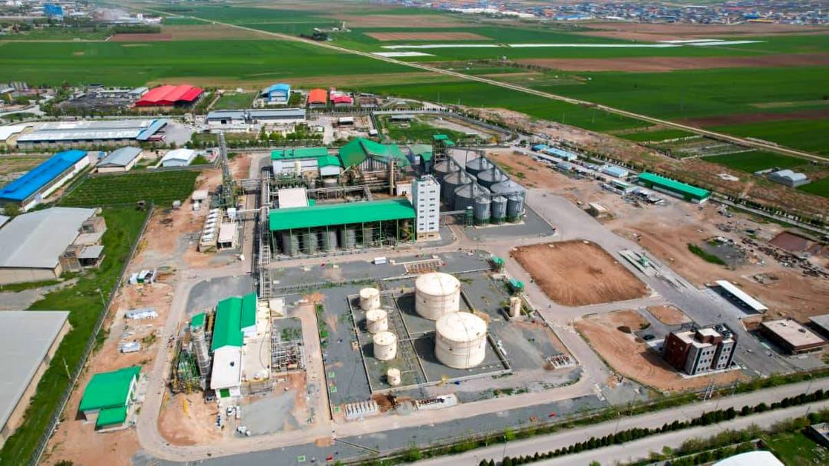 ثبت رشد 280 درصدی تعداد تولید شگستر و شناسایی درآمد 62 میلیاردی