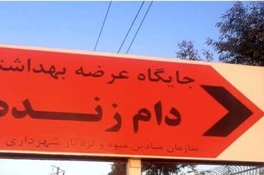 لاشه دام‌های ذبح شده، توسط دامپزشکان بررسی می‌شود