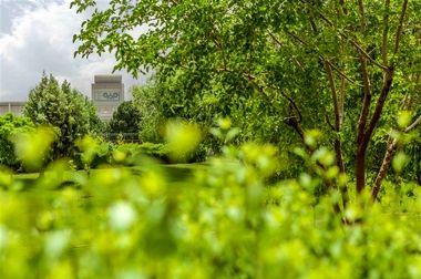 گروه فولاد مبارکه موفق به کسب جایزه نشان ملی اقتصاد مقاومتی کشور شد