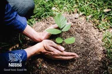 نستله در ایران می‌ماند