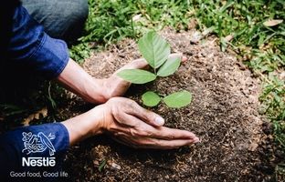 سیر تحول نستله از مسئولیت اجتماعی به خلق ارزش برای جامعه