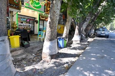  اجرای بیش از ۶۰ پروژه عمرانی برای بهبود کیفیت زندگی شهروندان
