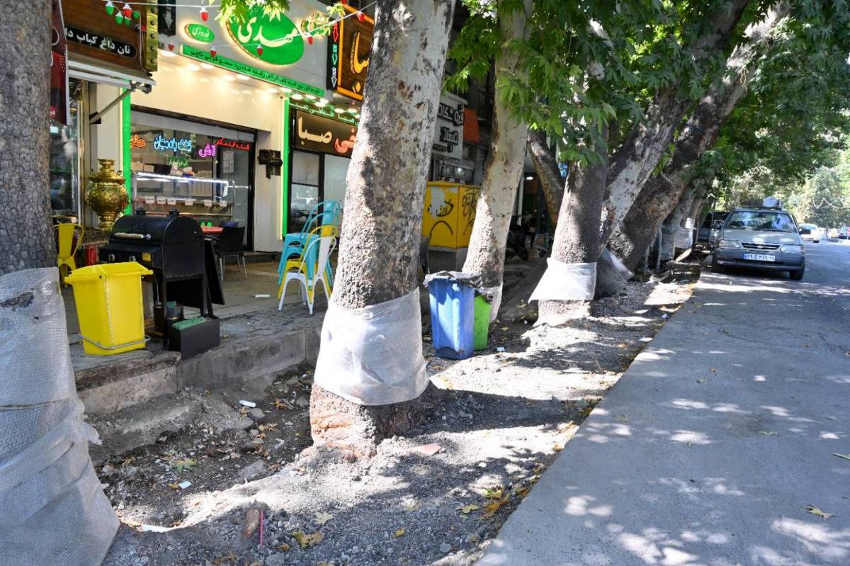 بازسازی نهر باغچه خیابان ولیعصر (عج) با اولویت حفظ درختان چنار کهنسال