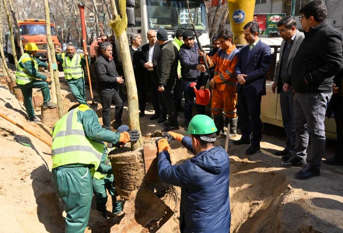 اولین مرحله جایگزینی درختان آسیب دیده و خشک خیابان حضرت ولیعصر (عج) انجام شد