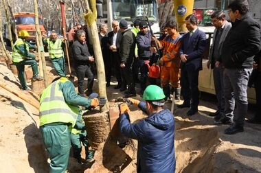 نصب ۴۰۰  المان حجمی و نوری در معابر و بوستان های منطقه یک