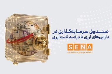 صیدی: منابع ارزی مردم در اقتصاد رسوب کرده است