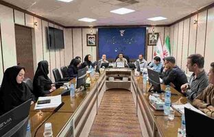 تأکید بر تسهیل ارائه خدمات درمانی به ایثارگران در نشست مشترک بیمه دی و بنیاد شهید استان زنجان