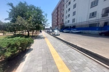 کاشت ۶۰ اصله درخت پالم و یاس هلندی در بلوار بهشت زهرا (س) منطقه ۱۹