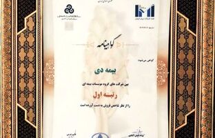در بیست و هشتمین مراسم رتبه بندی ۱۰۰ شرکت برتر؛ بیمه دی رتبه اول مؤسسات بیمه ای کشور شد
