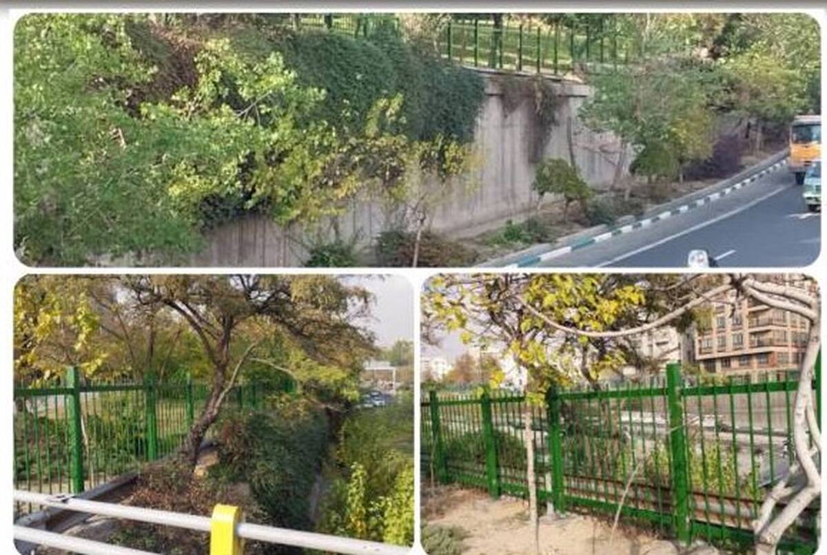 افزایش ضریب ایمنی با اجرای عملیات نصب نرده فلزی در بوستان دهقان