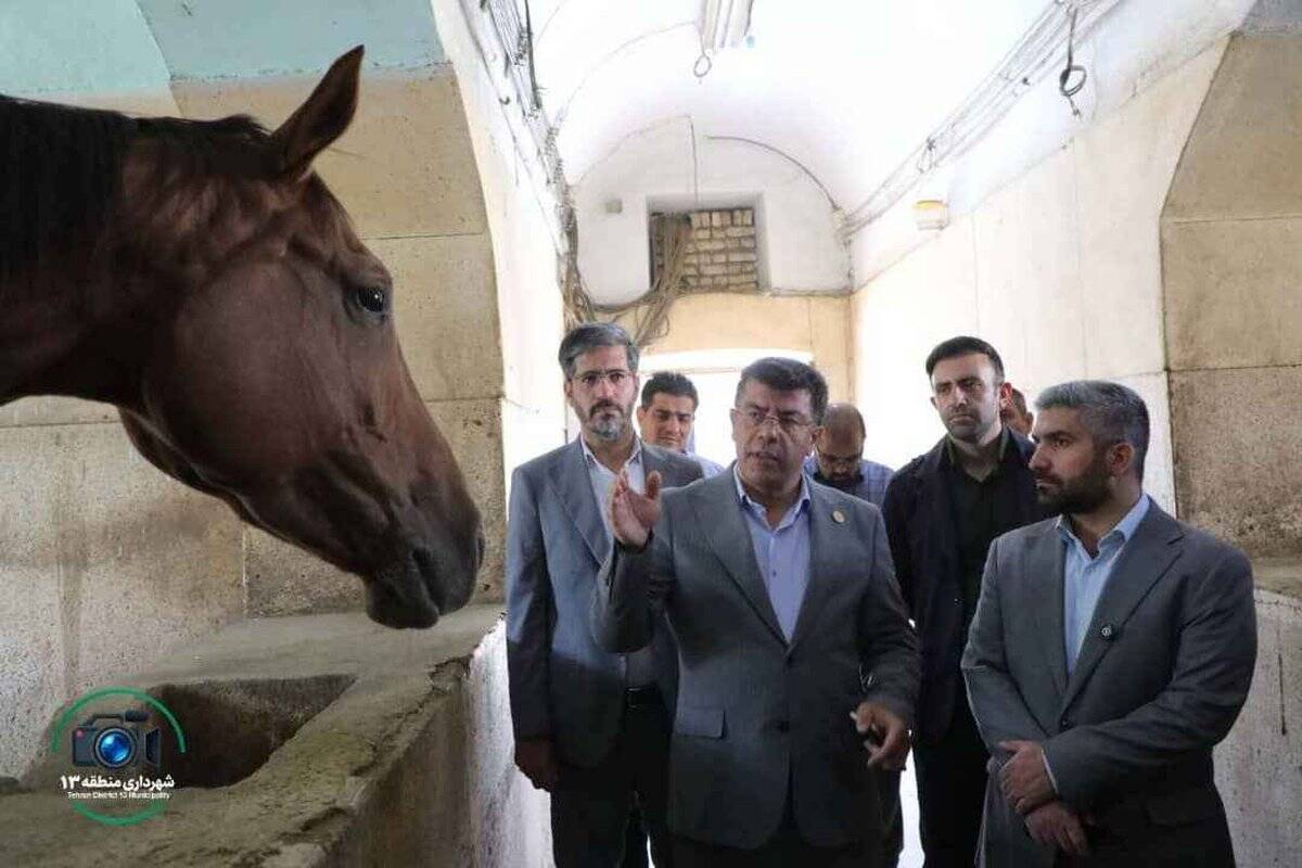 همکاری مشترک برای بهسازی و نوسازی مجموعه چوگان در منطقه۱۳