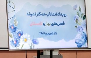 همکاران نمونه پلنت در فصل‌های بهار و تابستان ۱۴۰۴ پلنت معرفی شدند