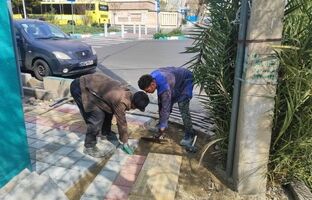  نوسازی و بهسازی بیش از ۳۱۰۰ مترمربع پیاده‌رو در ۸ معبر منطقه۱۳