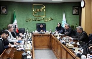 آغاز اجرای اجباری ۱۲۲ استاندارد ایمنی جدید برای خودروها / کاهش ۱۰ درصدی تصادفات در دستور کار دولت