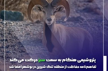 نصب موفق راکتور ۴۰۰ تنی اوره در پتروشیمی هنگام؛ نقطه عطف خودکفایی صنعتی ایران