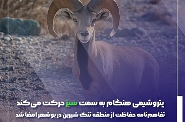 نصب موفقیت آمیز رآکتور واحد اوره در پتروشیمی هنگام