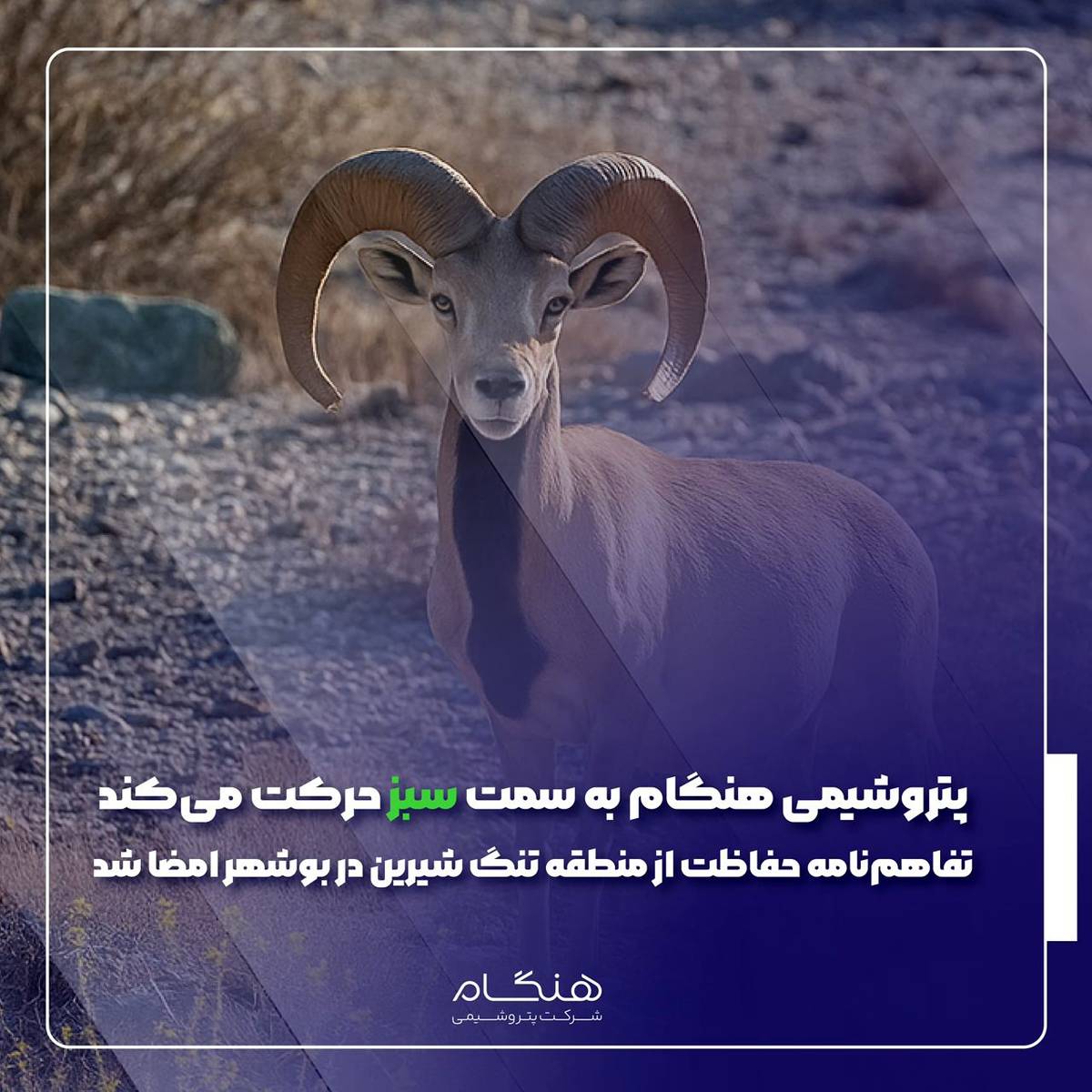  تفاهم‌نامه حفاظت از منطقه تنگ شیرین در بوشهر امضا شد