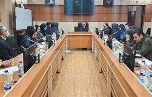 تفاهم‌نامه آزمون استاندارد و وزارت بهداشت برای هم‌افزایی آزمایشگاهی اجرایی شد