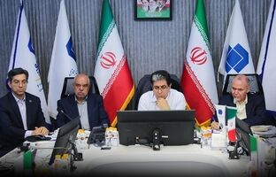 بازدید مدیرعامل شستا از تاپیکو/ تاکید بر ارتقای تاب آوری