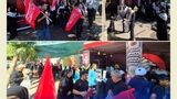 موکب بیمه کوثر در شهر مقدس مشهد میزبان زائران و عزاداران